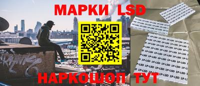 гидропоника Заволжье