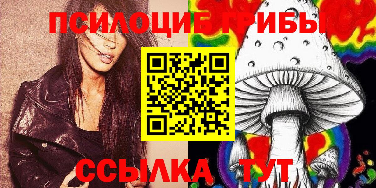 цена   Вход с VPN  Лыткарино  Псилоцибиновые грибы Psilocybe 